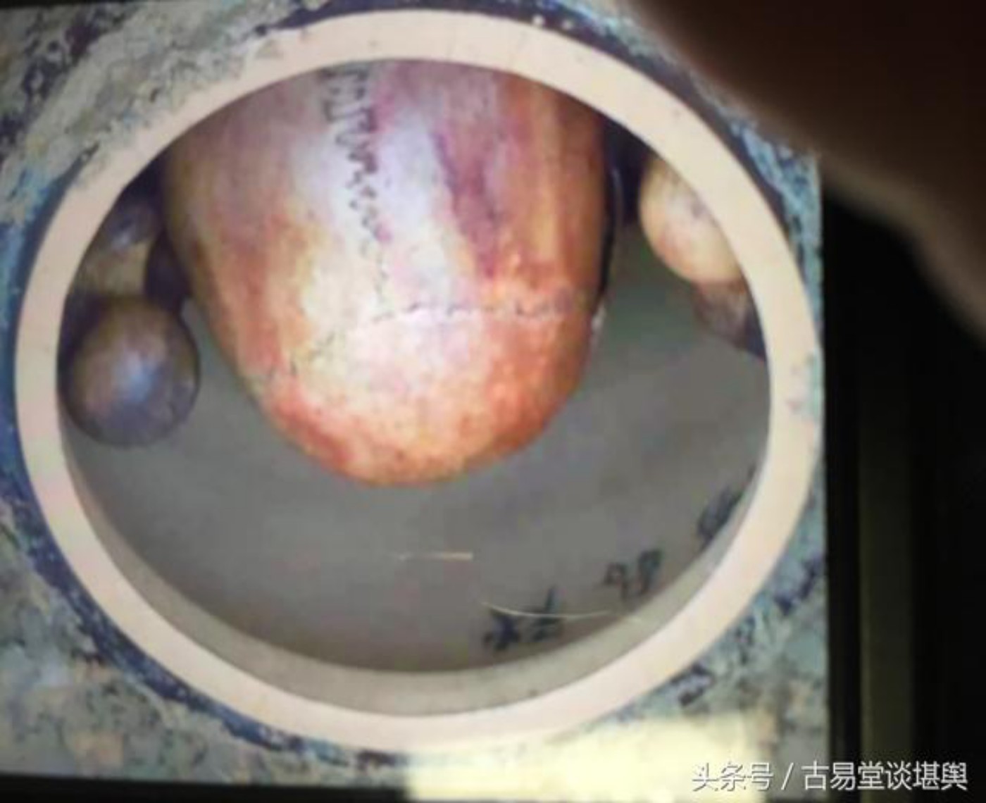 conew_图片9[2].jpg
