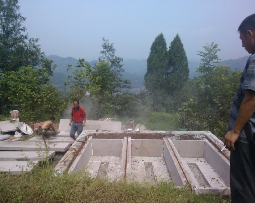 conew_图片10.jpg