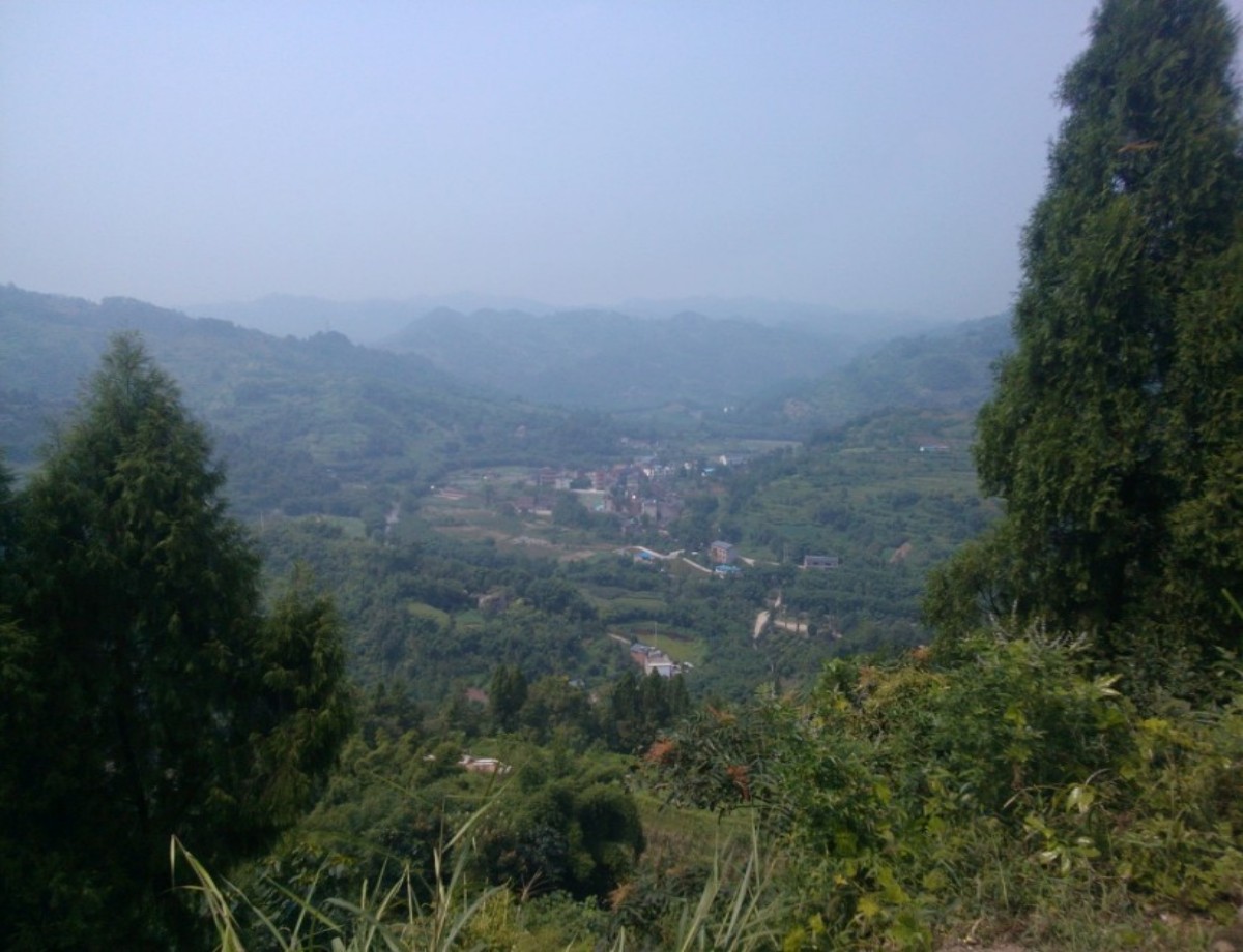 conew_图片15.jpg