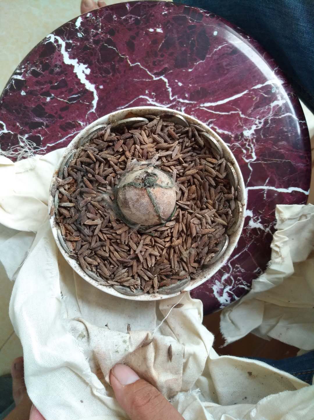 微信图片_20190127124013.jpg