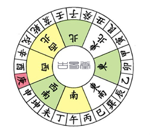 图片19_conew1.png