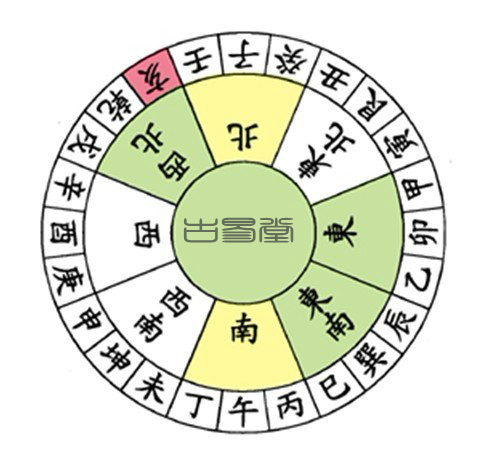图片24_conew1.png