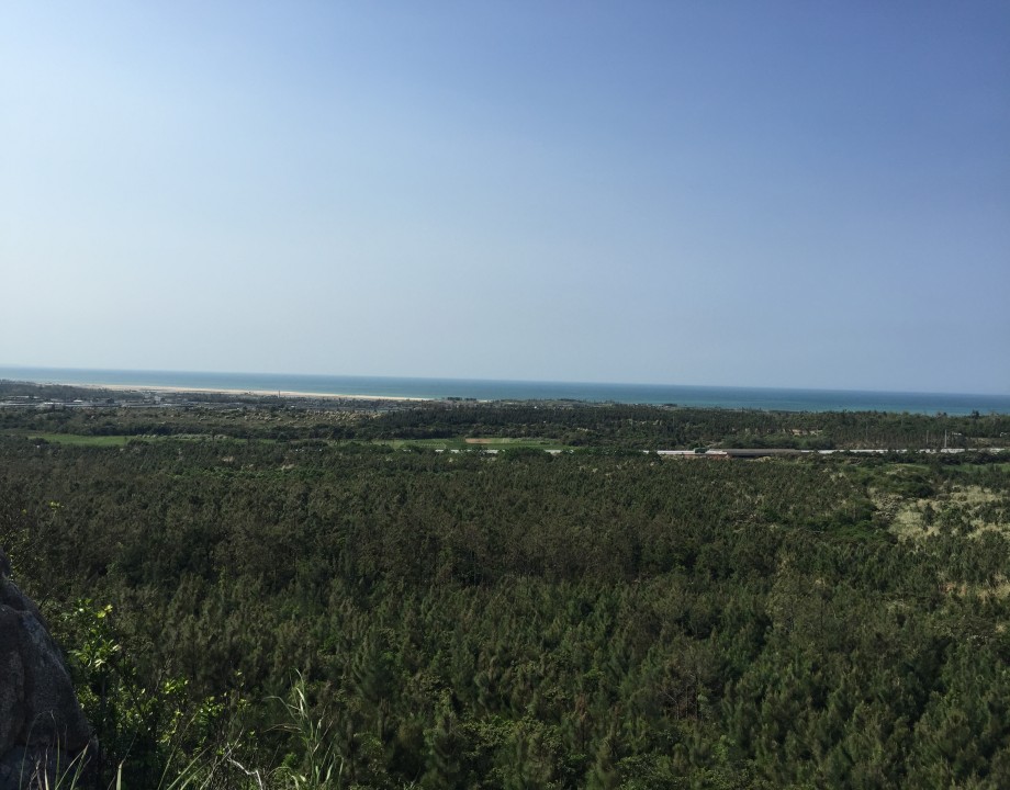 conew_img_0705.jpg