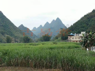 图片3_conew1.png