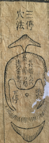 图片12_conew1.png
