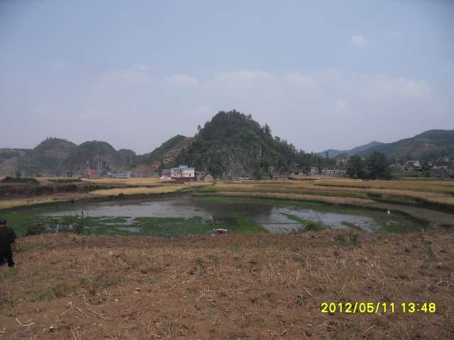conew_sdc10098.jpg
