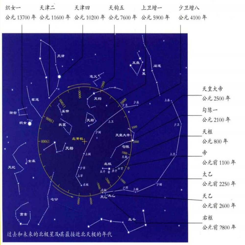 conew_图片8.jpg