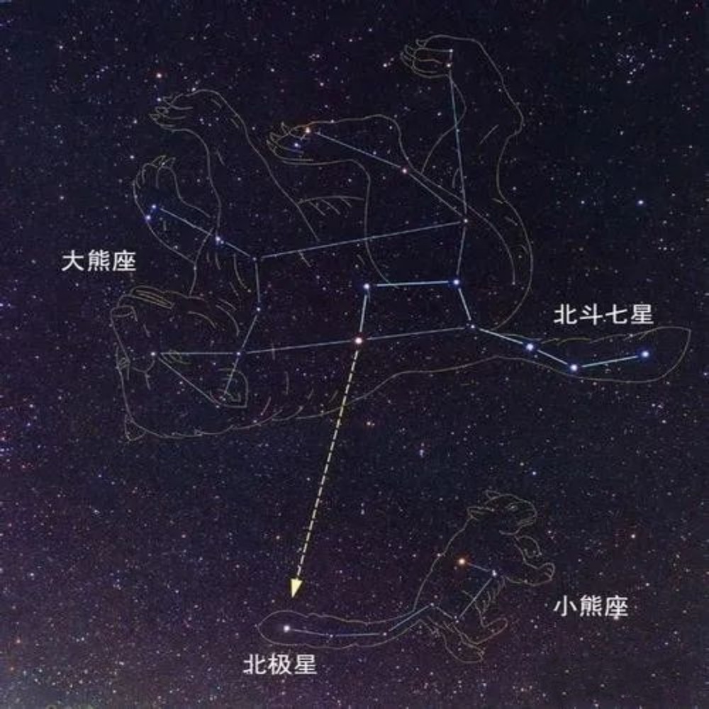 conew_图片2.jpg