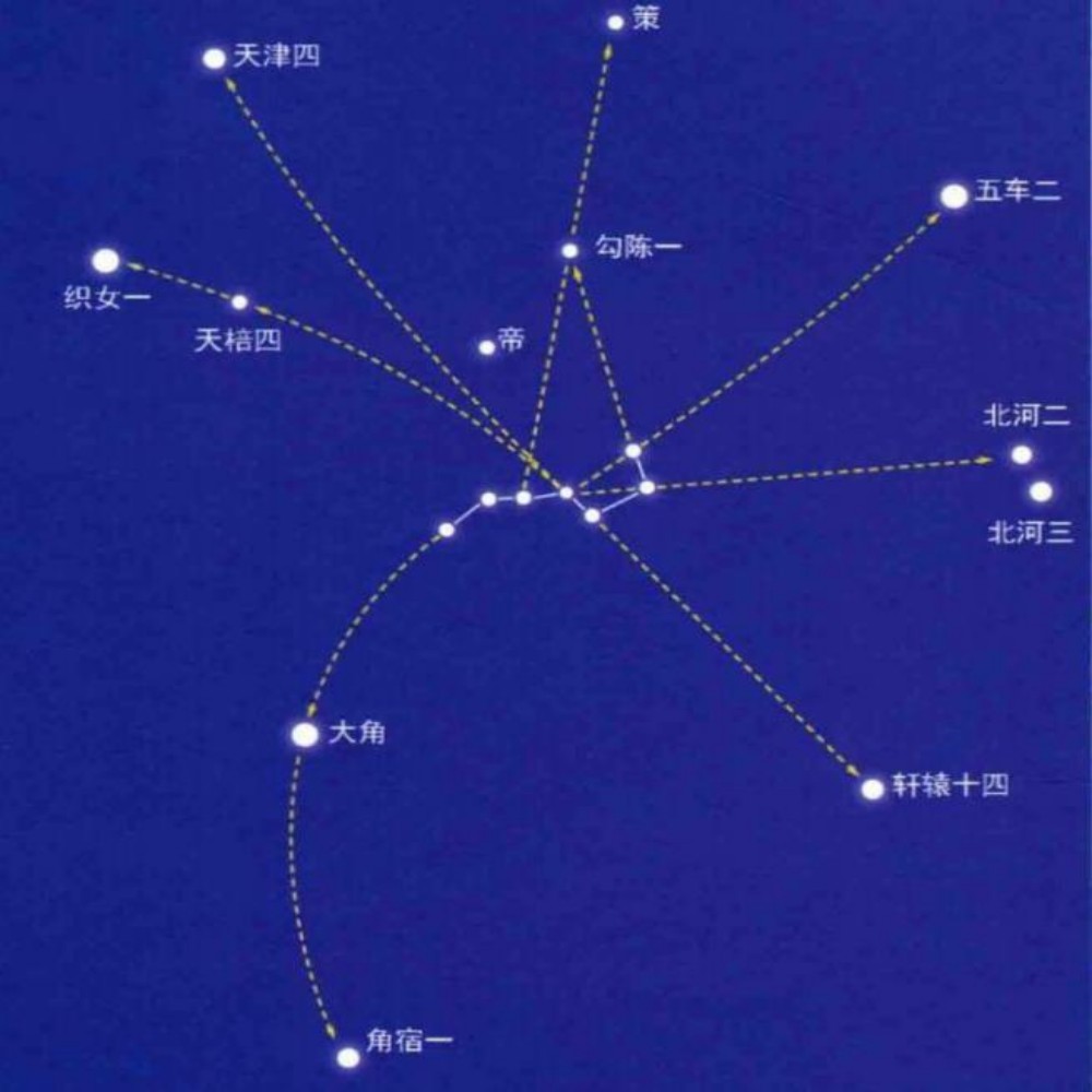 conew_图片6.jpg