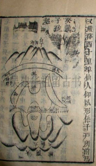 图片42_conew1.png