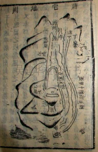 图片43_conew1.png