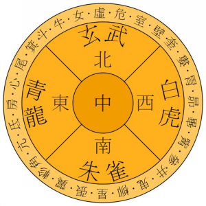 图片18_conew2.png